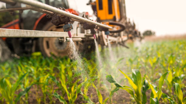 Best Commercial Pest Control Services  in Coppell, TX